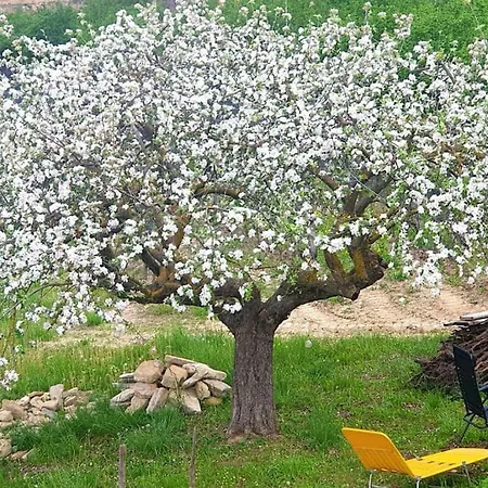 Casa Di Campagna Il Melo Tra Vigne E Noccioli. Cigliè
