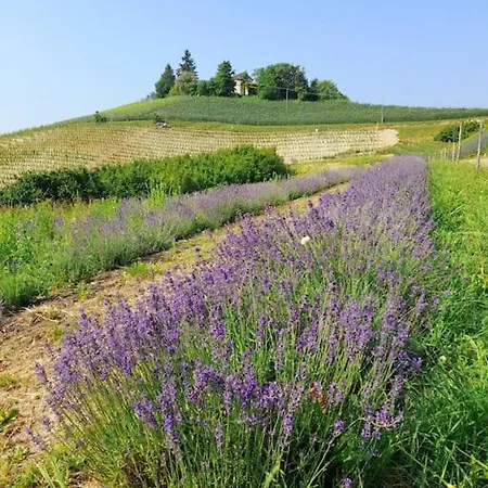Casa vacanze Casa Di Campagna Il Melo Tra Vigne E Noccioli. *