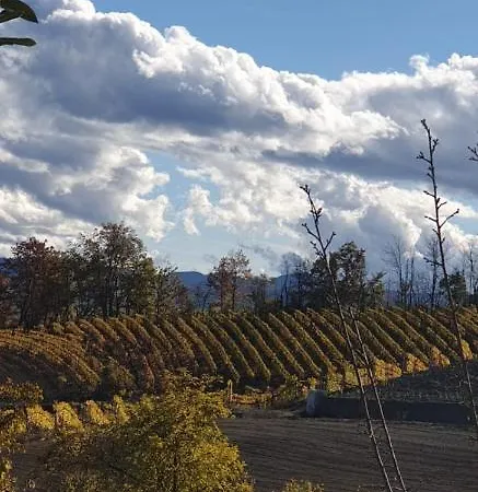 Casa Di Campagna Il Melo Tra Vigne E Noccioli. Casa vacanze