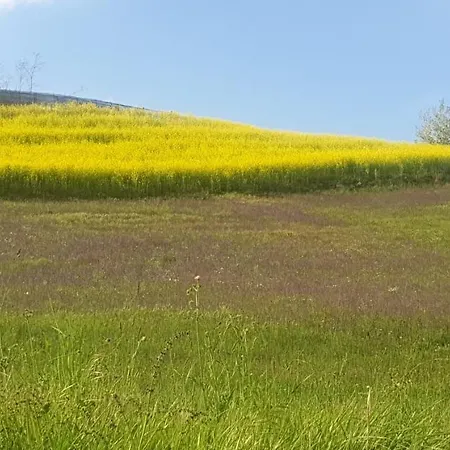 Casa Di Campagna Il Melo Tra Vigne E Noccioli. Casa vacanze *