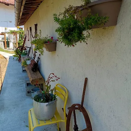 Casa Di Campagna Il Melo Tra Vigne E Noccioli.