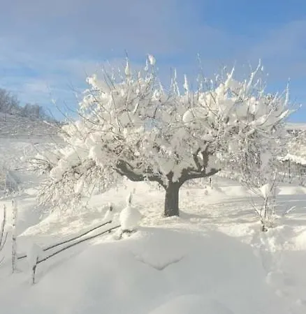 Casa Di Campagna Il Melo Tra Vigne E Noccioli. Casa vacanze
